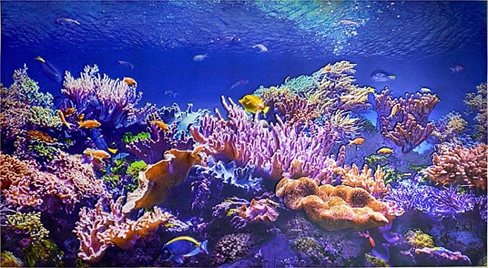 Панель 3D Коралловый риф 602*1002