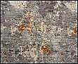 Коврик прошивной 1,5*2м 24_99 Малахит